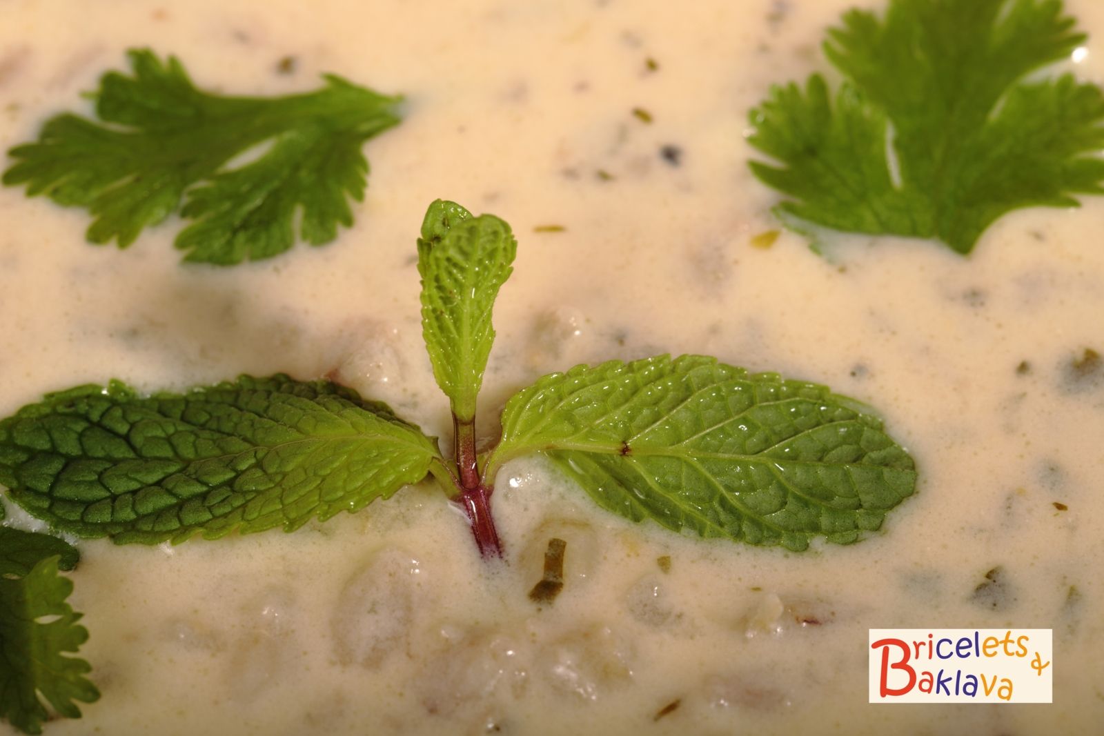 Tanabour (Spas), la soupe arménienne au yoghourt